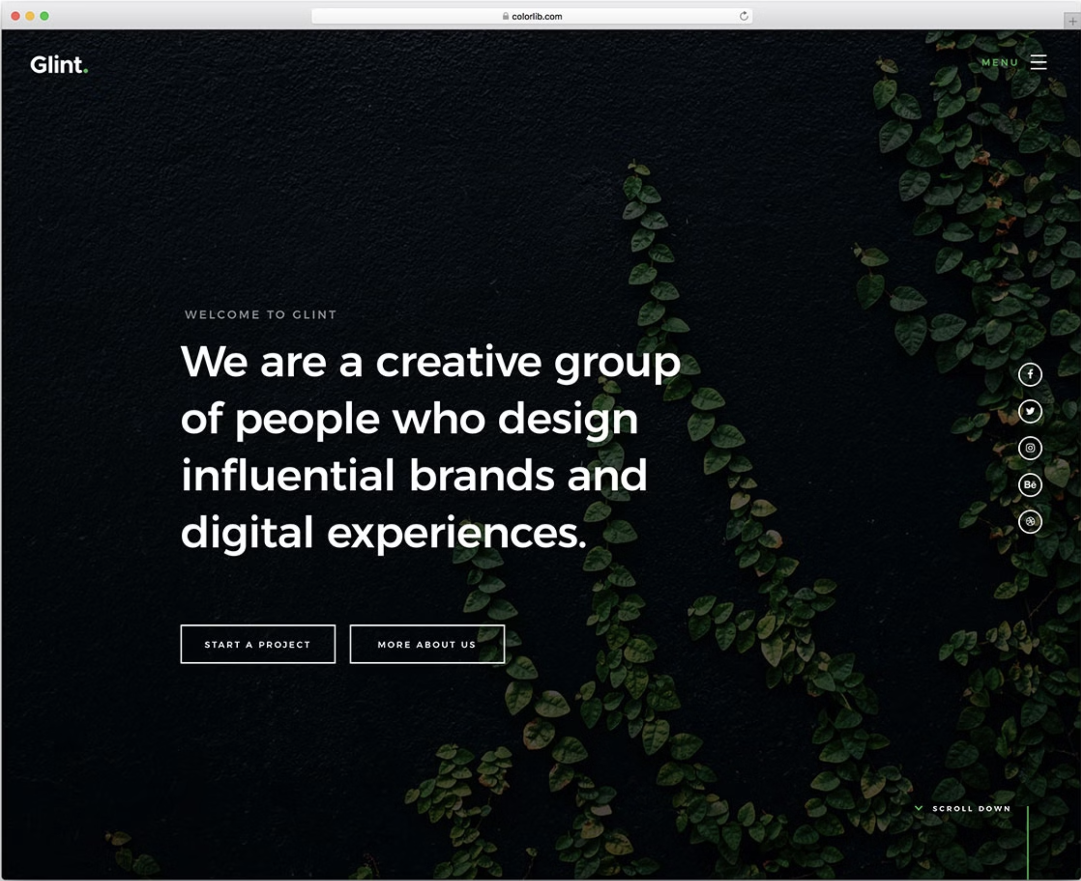 Diseño web profesional